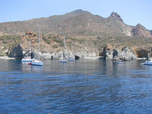 Calajunco