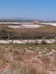 Vendicari, vista delle saline