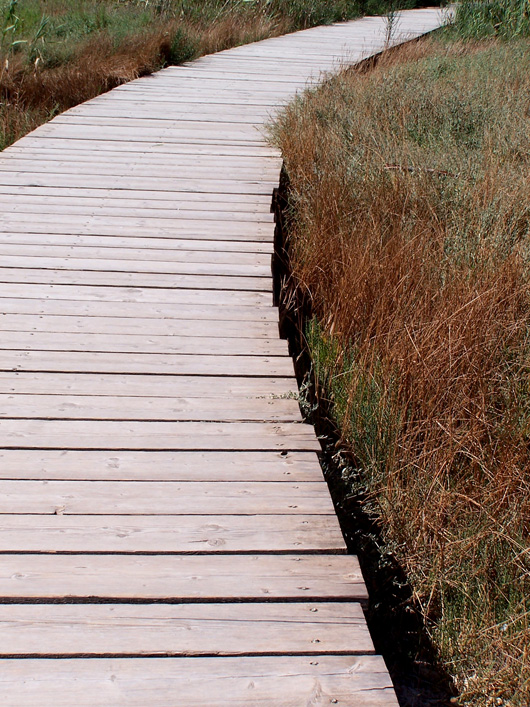 Vendicari, passerella in legno