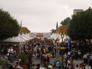 Ottobrata 2007, Piazza Umberto