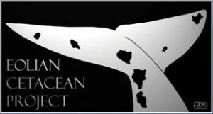 Progetto Cetacei Salina